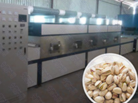 北京微波坚果干燥设备